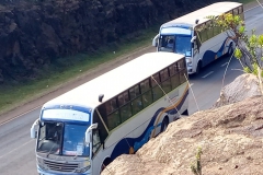 top-view-buses